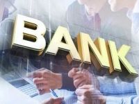 在“贷”之外，深谋综合服务矩阵！宁波银行对公打法升级